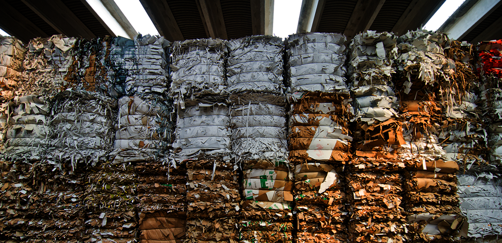 Reduce paper waste with Living Map